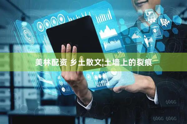 美林配资 乡土散文¦土墙上的裂痕