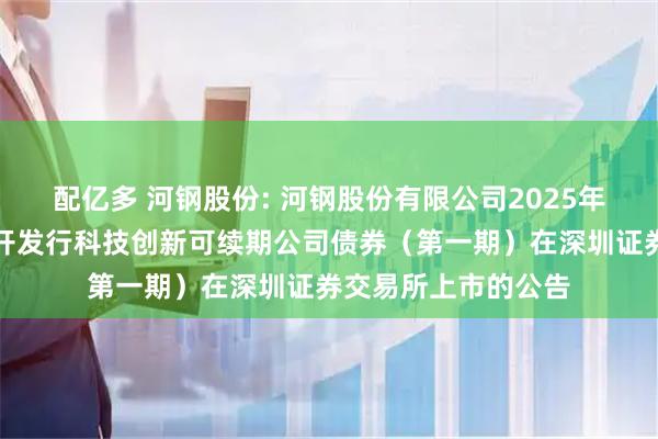 配亿多 河钢股份: 河钢股份有限公司2025年面向专业投资者公开发行科技创新可续期公司债券（第一期）在深圳证券交易所上市的公告