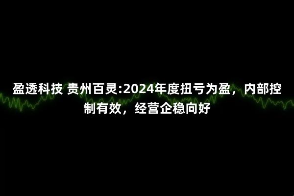 盈透科技 贵州百灵:2024年度扭亏为盈，内部控制有效，经营企稳向好