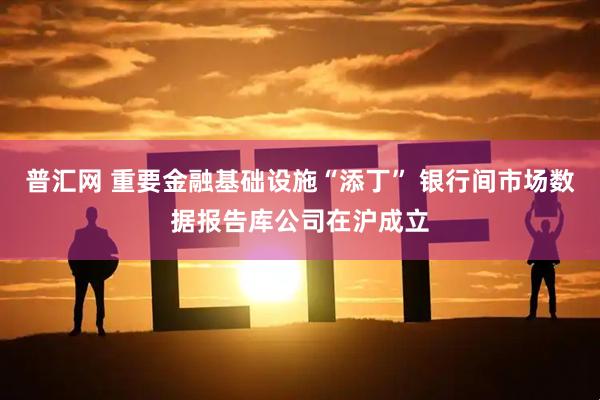 普汇网 重要金融基础设施“添丁” 银行间市场数据报告库公司在沪成立